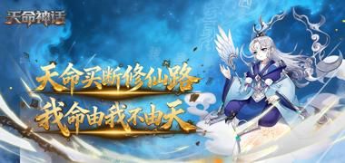 视频预览
