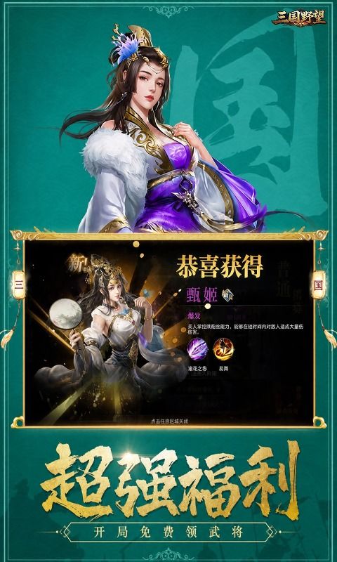 三国野望预览图